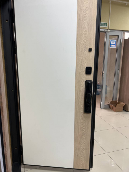 ТЕЙЯ (ЭЛЕКТРОННЫЙ ЗАМОК)